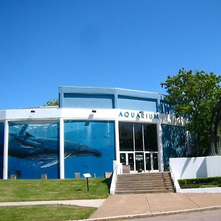Falls Retreat - Walk To The Falls, The Casino And All Downtown Restaurants - Across From The Aquarium Niagarawatervallen Buitenkant foto