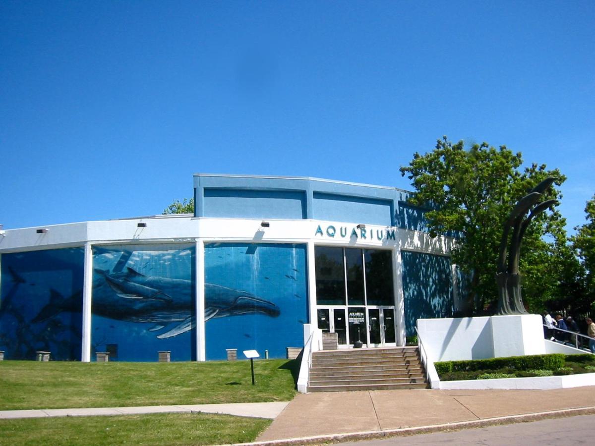 Falls Retreat - Walk To The Falls, The Casino And All Downtown Restaurants - Across From The Aquarium Niagarawatervallen Buitenkant foto